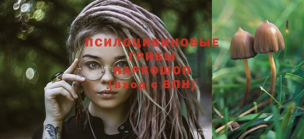 кокс Снежинск